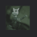 Katze